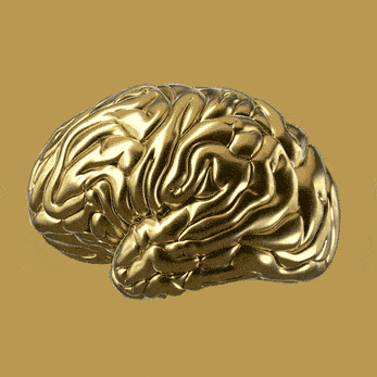 Animated Brain